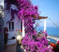 Villa Gelsomina